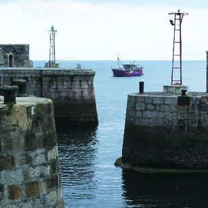 Ur-ikara 2002 : photo 10/328