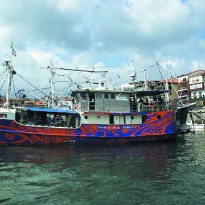 Ur-ikara 2002 : photo 14/328