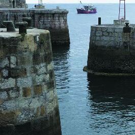 Ur-ikara 2002 : photo 33/328