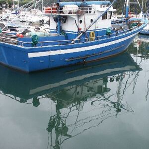 Ur-ikara 2002 : photo 56/328