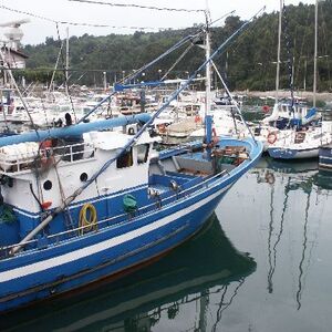 Ur-ikara 2002 : photo 60/328