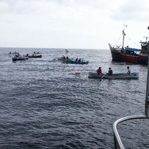 Ur-ikara 2002 : photo 77/328