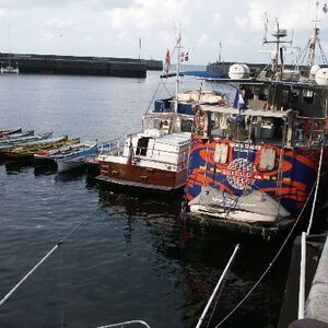 Ur-ikara 2002 : photo 82/328