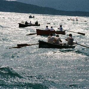 Ur-ikara 2002 : photo 164/328