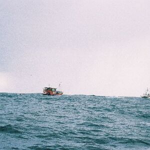 Ur-ikara 2002 : photo 169/328