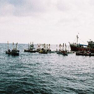 Ur-ikara 2002 : photo 176/328