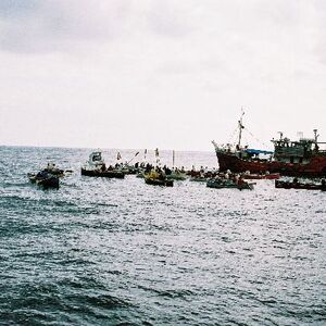 Ur-ikara 2002 : photo 198/328