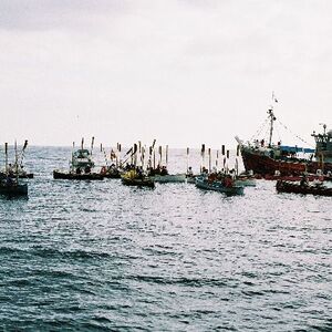 Ur-ikara 2002 : photo 197/328