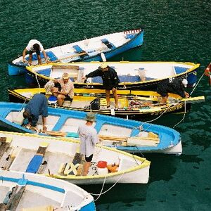 Ur-ikara 2002 : photo 210/328