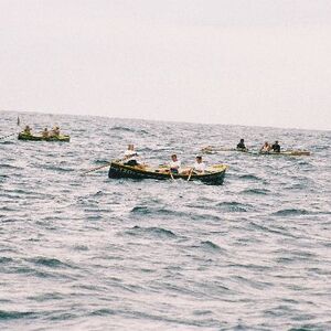 Ur-ikara 2002 : photo 224/328