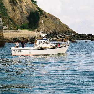 Ur-ikara 2002 : photo 297/328