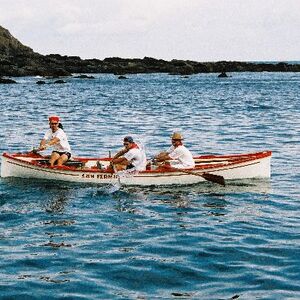 Ur-ikara 2002 : photo 299/328