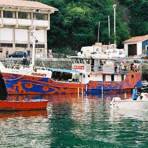 Ur-ikara 2002 : photo 304/328